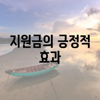 지원금의 긍정적 효과
