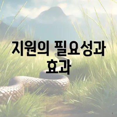 지원의 필요성과 효과