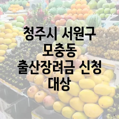 청주시 서원구 모충동 출산장려금 신청 대상