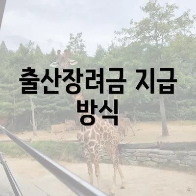 출산장려금 지급 방식