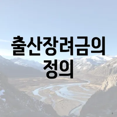 출산장려금의 정의