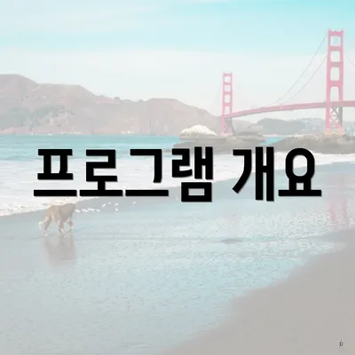 프로그램 개요