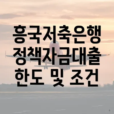 흥국저축은행 정책자금대출 한도 및 조건