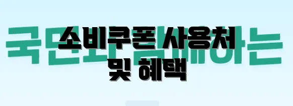 소비쿠폰 사용처 및 혜택