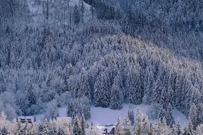 실생활에서 터지는 순간
