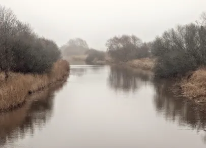 가입 실패 사례