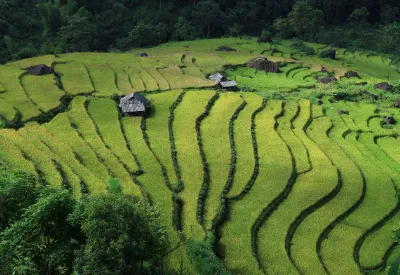 응용 노하우로 손해 줄이기