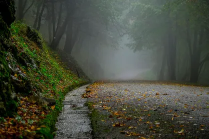 잘못 가입한 사례 이후의 응용