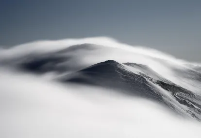 장점과 단점 활용법