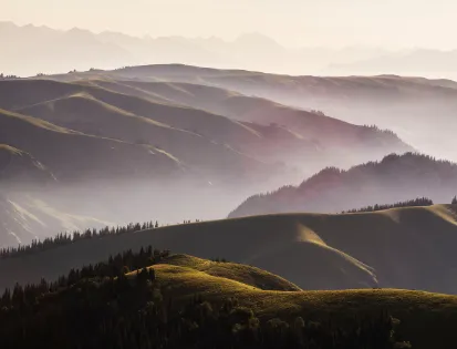 생활 속 사례와 팁